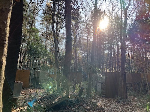 DJI NEO2を使ったドローン撮影の練習を兼ねたテスト飛行