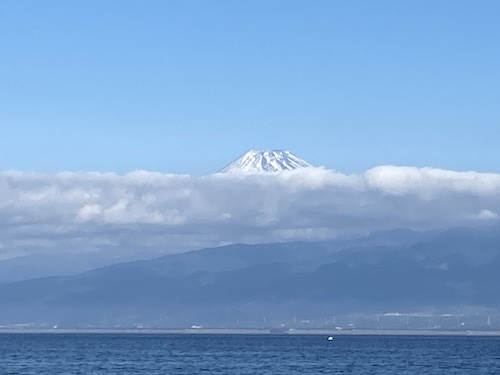 来年はもっと良い年になりますように！